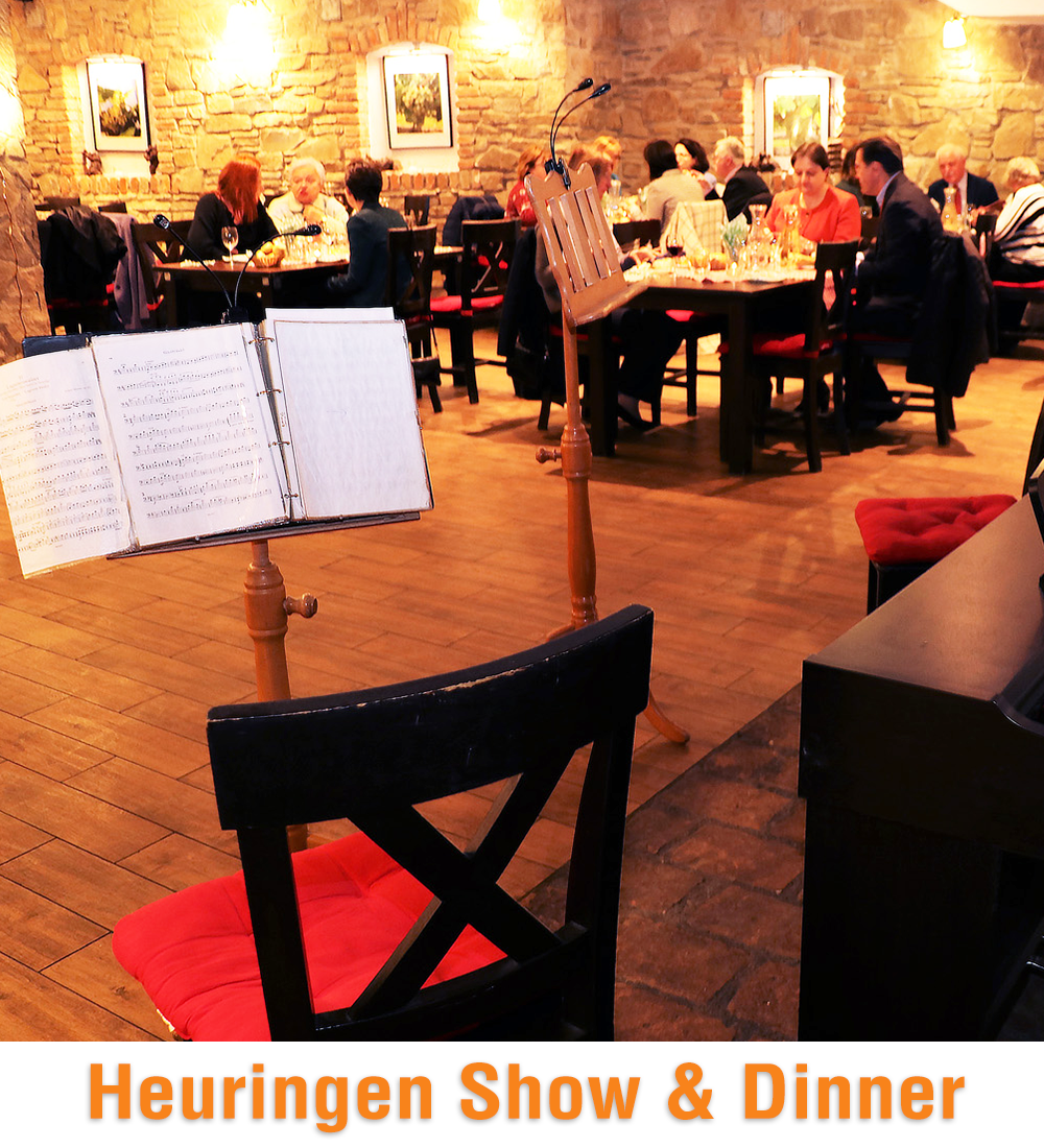 SGEM Vienna 2018  Heurigen Show & Dinner